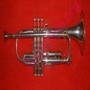 trumpet (Oops! image not found)